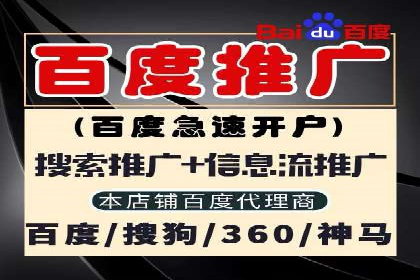 专业网站SEM托管服务案例展示